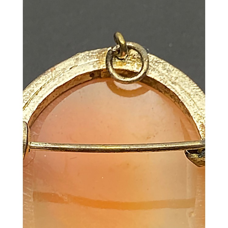 Cameo Broş & Kolye