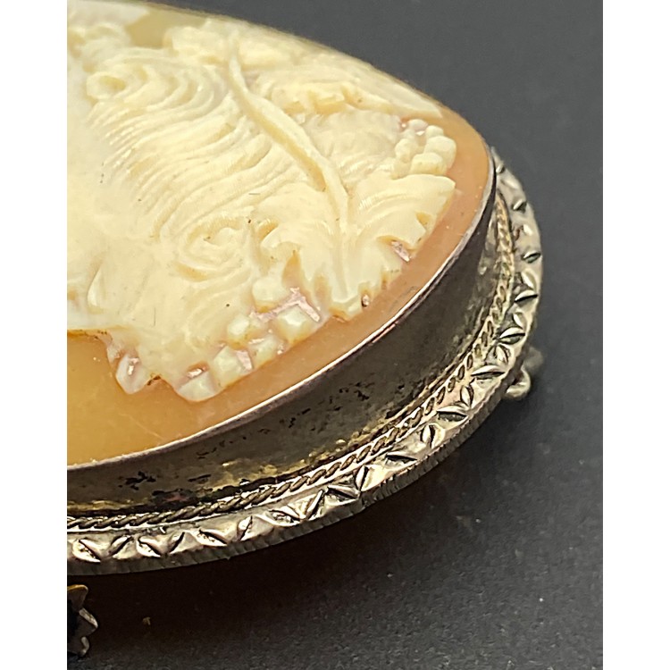 Cameo Broş & Kolye