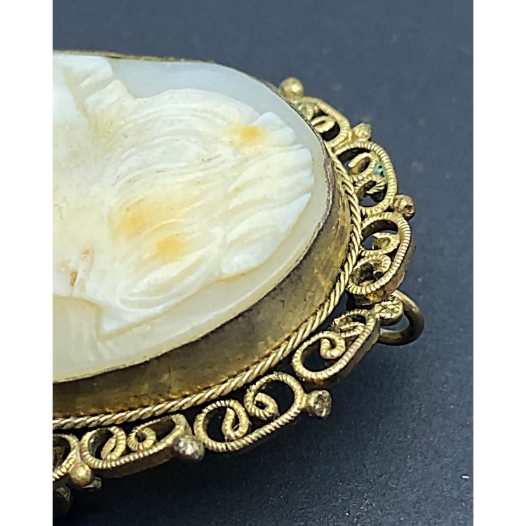 Cameo Broş & Kolye