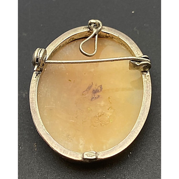 Cameo Broş & Kolye