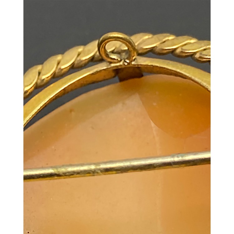 Cameo Broş & Kolye