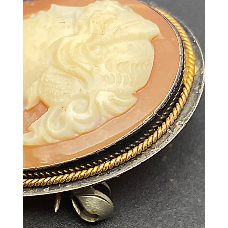 Cameo Broş & Kolye